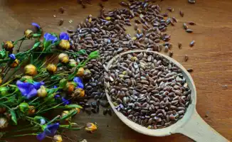 Семена льна: маленький секрет здоровья для жителей города