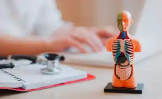 Тысячи казахстанцев ждут трансплантацию органов: проблема донорства нарастает