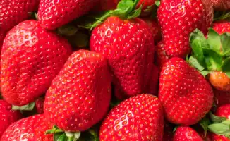 Исследование немецких ученых: клубника как средство против старения