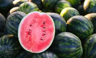 Сезон арбузов в Казахстане еще не начался, предупреждают врачи.