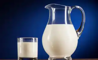 Социальные табу: продукты, которые нельзя сочетать с молоком