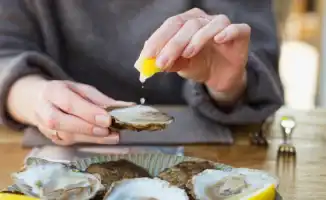 Каменные устрицы и борьба с антимикробной резистентностью