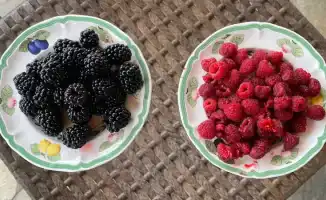 Органические продукты в Казахстане: здоровье в каждой упаковке