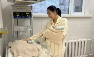 В Павлодаре многодетная мама родила тройню в перинатальном центре