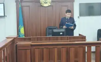 Приговор 17-летнему жителю Павлодарской области за роды в 12 лет