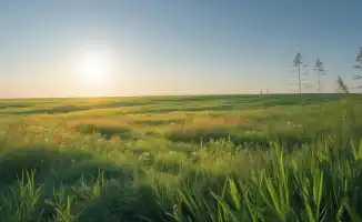 Не упустите последние летние дни: 8 дел, которые стоит сделать до осени