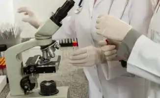 Ученые нашли способ блокировать вирус Эпштейна-Барр, открыв путь к новому лекарству