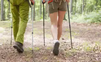 Утром или вечером: когда ходьба приносит максимальную пользу?