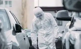 В Гуандуне за неделю зарегистрировано свыше 2800 случаев лихорадки чикунгунья