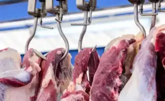 Рост цен на говядину в Шымкенте: комментарии Минторговли