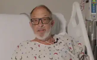 Генно-модифицированные свиньи: новый шаг в трансплантологии и его социальные последствия