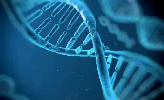 Диетолог рассказала о ягоде и арбузе, защищающих ДНК благодаря антиоксидантам