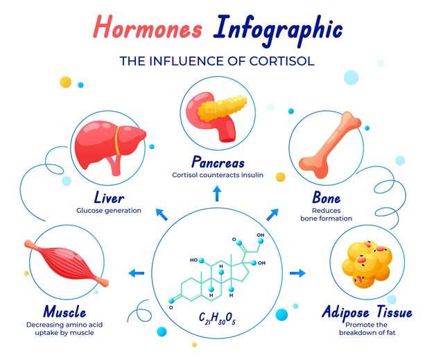 Метанефрин и его роль в диагностике заболеваний