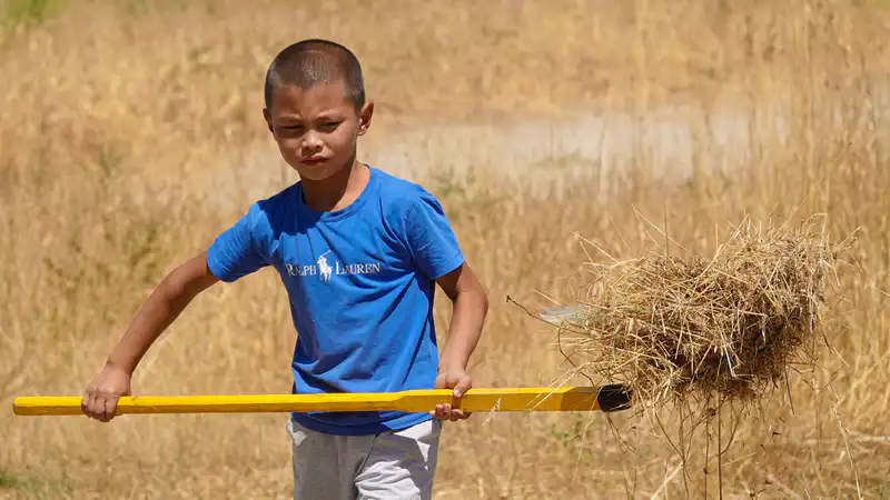 Мальчик убирает траву