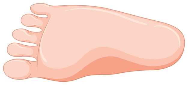 Полая стопа