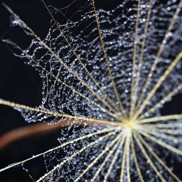 Ревматоидный фактор и его роль в здоровье суставов