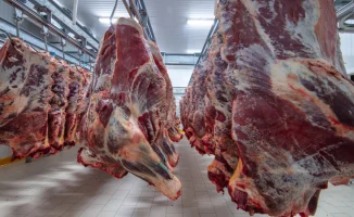 Горячая линия по вопросам говядины запущена в Казахстане