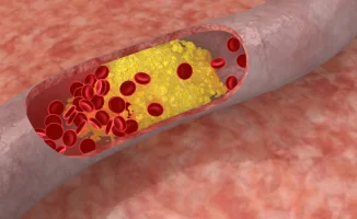 Ягода-герой: как виноград борется с плохим холестерином?