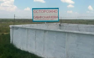 Сибирская язва: дефицит вакцин как искра в сухом лесу Акмолинской области