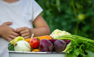 Туляремия в Казахстане: дети в опасности из-за немытых овощей, третий случай заболевания зафиксирован