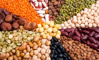 Бобы — зеленые стражи здоровья: продлеваем жизнь с каждым укусом!