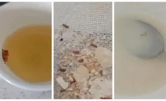 Шок в Талдыкоргане: дети ели еду с насекомыми в детсаду