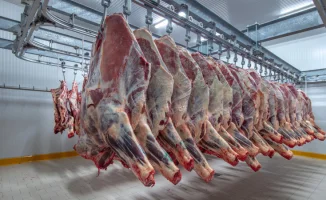 Почему высокая себестоимость говядины угрожает доступности мяса: пути удешевления и реальные цены на рынке