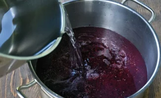 Сок из черной смородины: улучшение кровотока в мозге и стимуляция лобных долей для лучшей концентрации