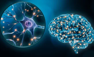 Короткие видео увеличивают нагрузку на мозг, говорят учёные