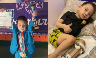 История Алмаза: Как маленький герой сразился с болезнью и вдохновил мир в 2022 году