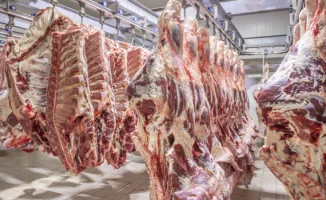 Запрет на экспорт мяса в Казахстане: критика депутатов и олигополия