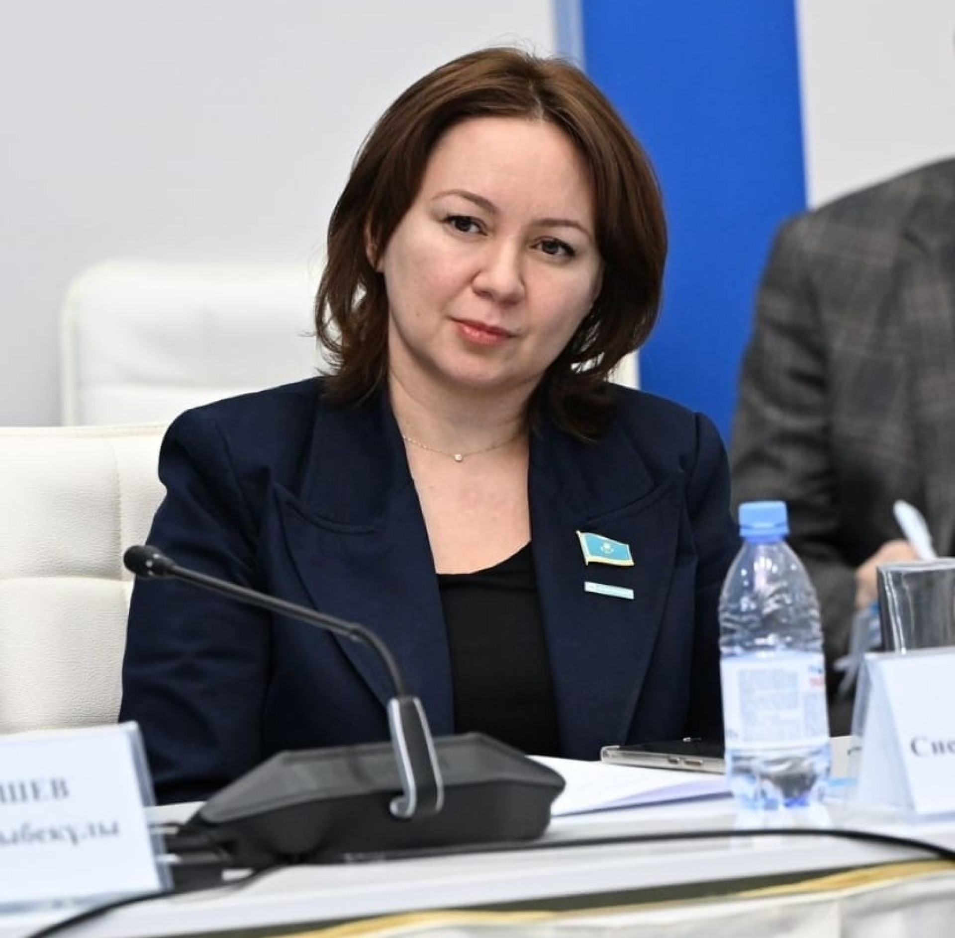 Депутат Мажилиса Снежанна Имашева о наказании за нападение на медиков