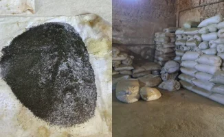 В Туркестанской области нашли подпольный цех с 2 тоннами насвая