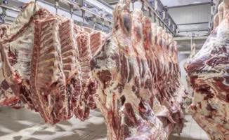 Ограничение на вывоз говядины: последствия для Казахстана