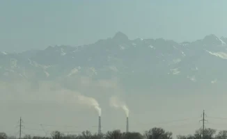 Загрязнение воздуха и микропластик: невидимые угрозы здоровью