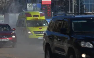 Петропавловск: пенсионерку спасли после choking на хурме