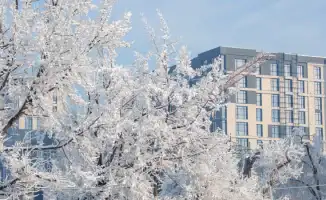 Казахстанцы получат 8 дней отдыха в феврале 2026 года: важное событие для страны