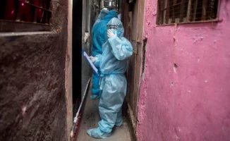 Вирус Нипах: симптомы, последствия, кома, эпилепсия, поражения нервов