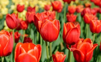 Календарь выходных и праздников для казахстанцев в марте 2026