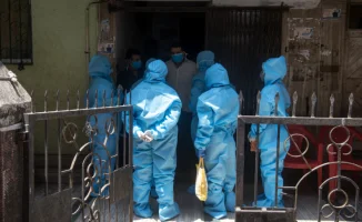 Вспышка вируса Нипах в Индии: как общество реагирует на угрозу здоровья