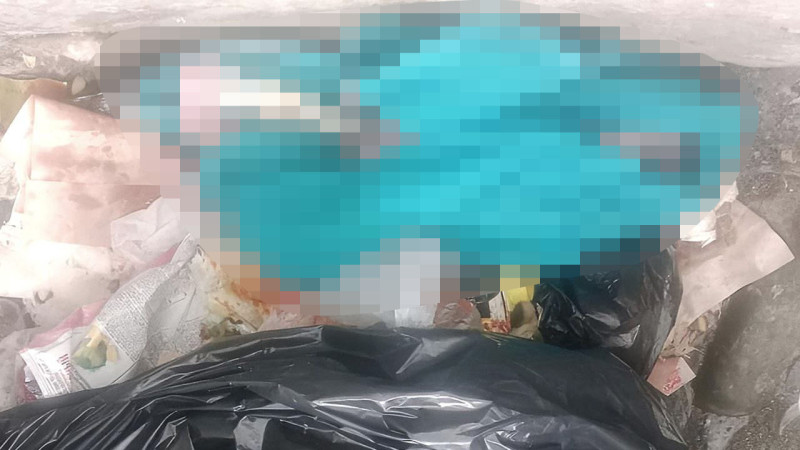Трагедия в Семее: тело новорожденного в мусорном контейнере шокировало общество и вызвало волну обсуждений