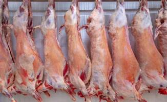 Министр Сапаров прокомментировал вывоз говядины под видом картошки