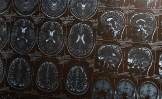 Чтение и языки: залог долголетия для жителей нашего города