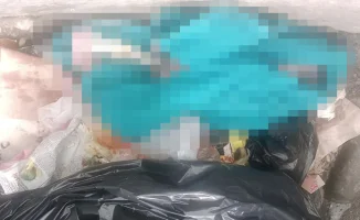 Трагедия в Семее: тело новорожденного в мусорном контейнере шокировало общество и вызвало волну обсуждений