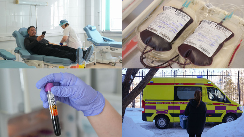 От капли до жизни: путь донорской крови сквозь лабиринты очистки