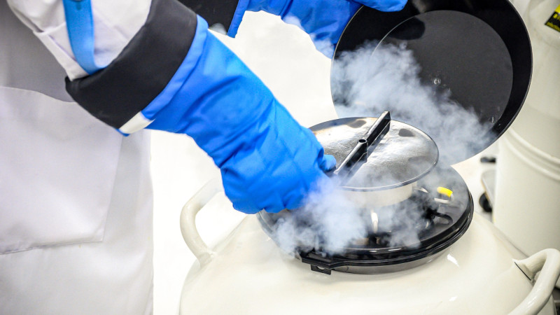 Казахстан и Европа: вызовы хранения и утилизации эмбрионов