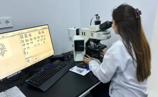 Генетика в Казахстане: мифы о гене ожирения и дети на заказ из пробирки