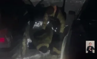 Штрафы списаны, новая выплата и спецоперация МВД: итоги дня