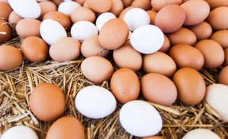 Казахстан усиливает экспорт говядины и импорт яиц: решения МВК для международной торговли