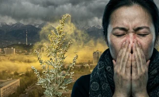 Аллергия: новая эпидемия и угроза мировому здравоохранению